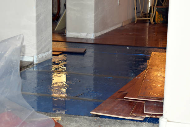 Professional Basement Flood Cleanup technician working in Nahant, MA